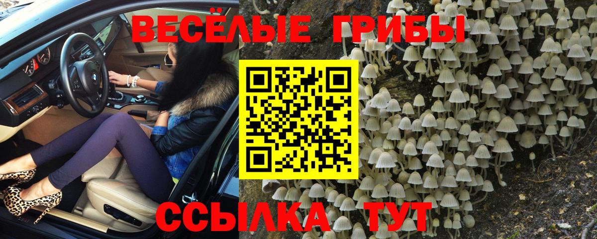 Орехово-Зуево  Галлюциногенные грибы MAGIC MUSHROOMS  Вход с VPN  Галлюциногенные грибы MAGIC MUSHROOMS 