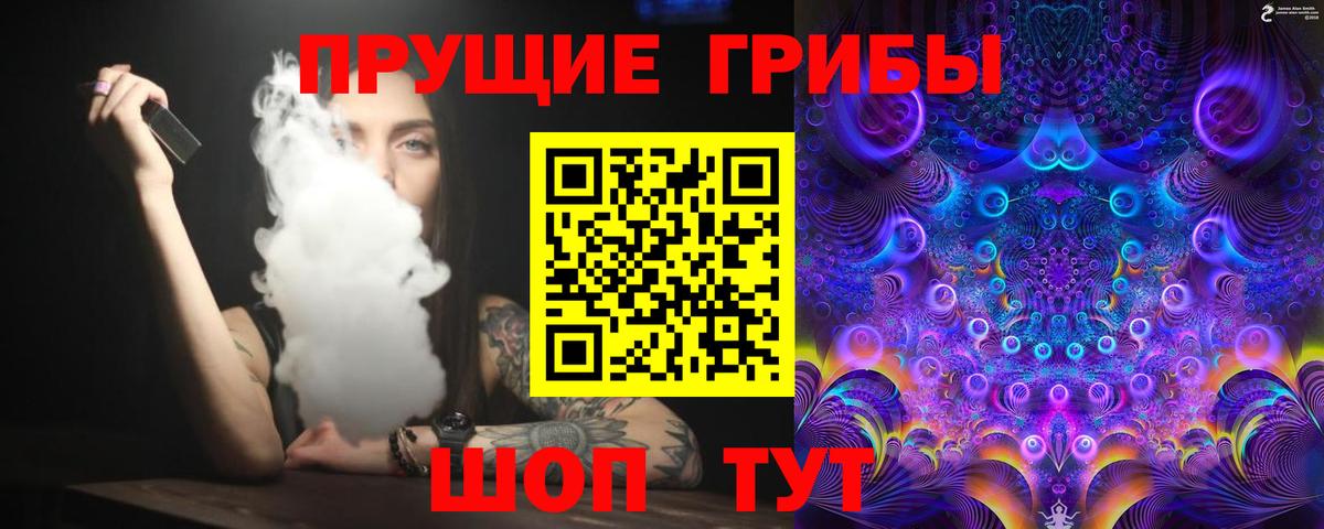 Галлюциногенные грибы Psilocybine cubensis Орехово-Зуево
